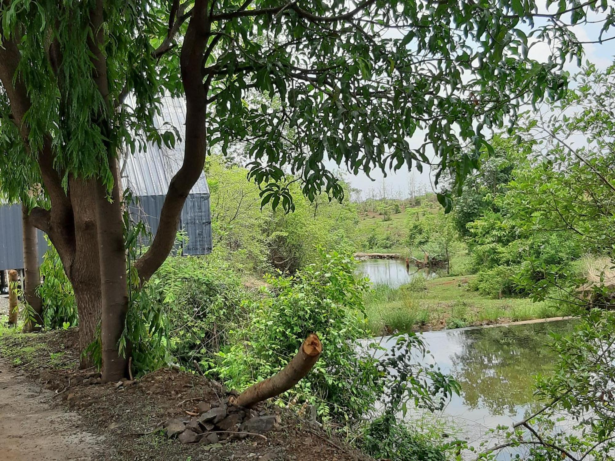 River Ranch Saralgaon Exteriör bild